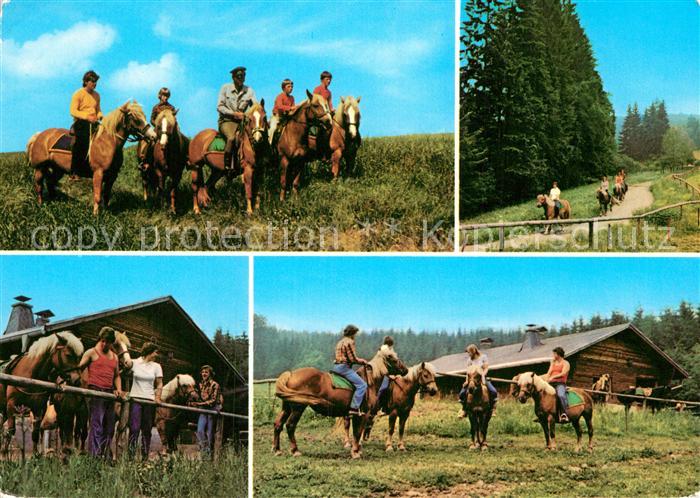 Brotterode Reittouristik Stuetzpunkte Details