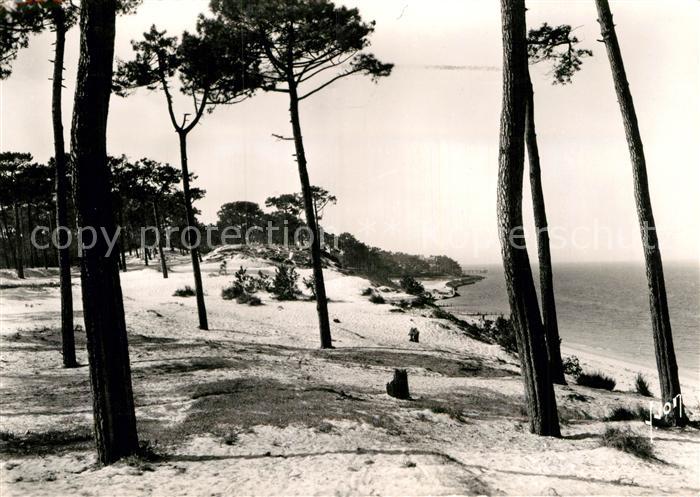 Arcachon Gironde Parc des Abatilles et vue sur les passes du Bassin
