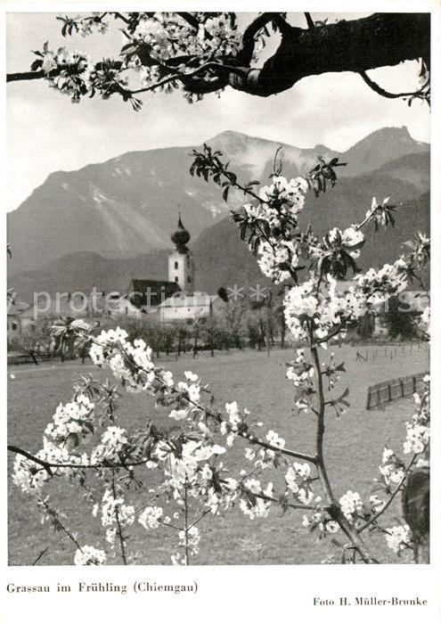 Grassau Chiemgau im Fruehling Baumbluete Blick zur Kirche Alpen