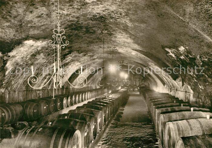 Johannisberg Rheingau Fuerst Metternich Winneburgsche Domaene Weinkeller Schloss