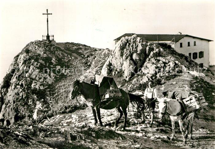 Hochfellnhaus Berghaus Lasttiere Gipfelkreuz