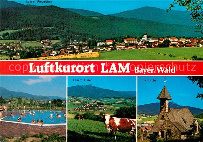 Lam Oberpfalz Panorama Freibad Viehweide Kuehe Kirche Osser Bayerischer Wald