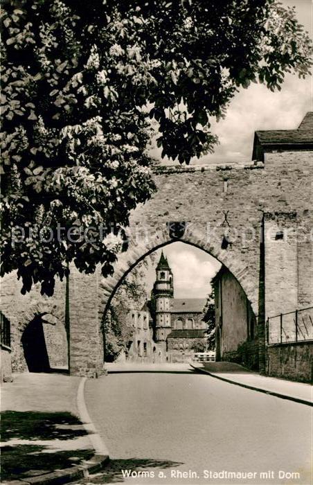 Worms Rhein Stadtmauer mit Dom