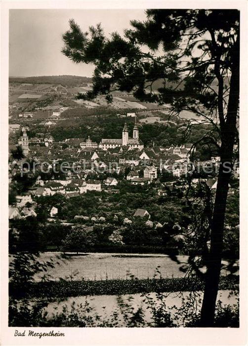 Bad Mergentheim Panorama