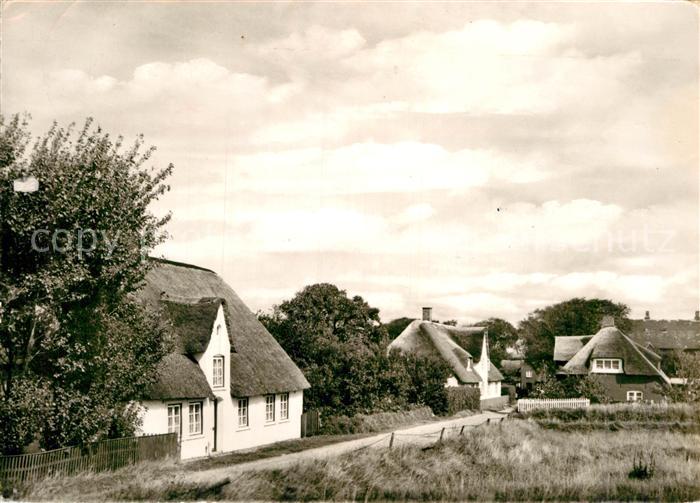 Nebel Amrum Friesenhaeuser