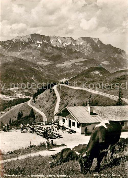 Berchtesgaden Oberahornalm mit Rossfeldstrasse und Untersberg Berchtesgadener Al