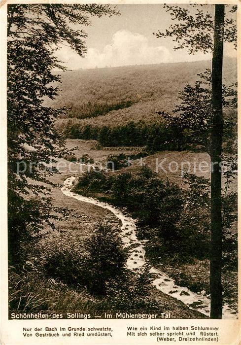 Muehlenberg Holzminden Landschaftspanorama Muehlenberger Tal Serie Schoenheiten