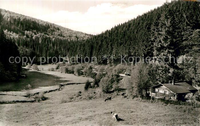 Willingen Sauerland Panorama Hermeketal