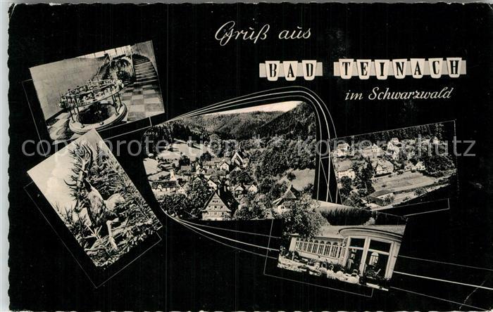 Bad Teinach-Zavelstein Teilansichten Wandelhalle Brunnen Hirschquelle Tiere Hirs