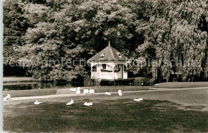 Bad Salzschlirf Taubenhaus im Park