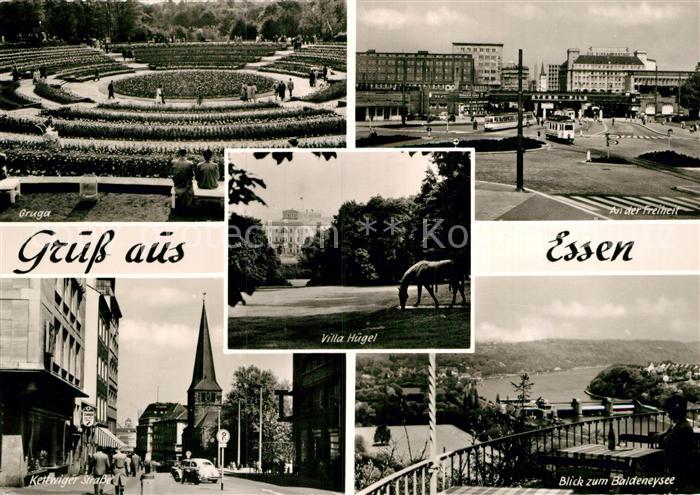 Essen Ruhr Gruga Park Freiheit Kettwiger Strasse Villa Huegel Pferdeskulptur Bal