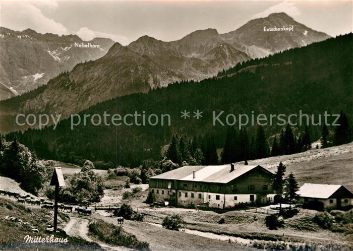 Bad Oberdorf Mitterhaus im Retterschwangtal mit Nebelhorn Allgaeuer Alpen