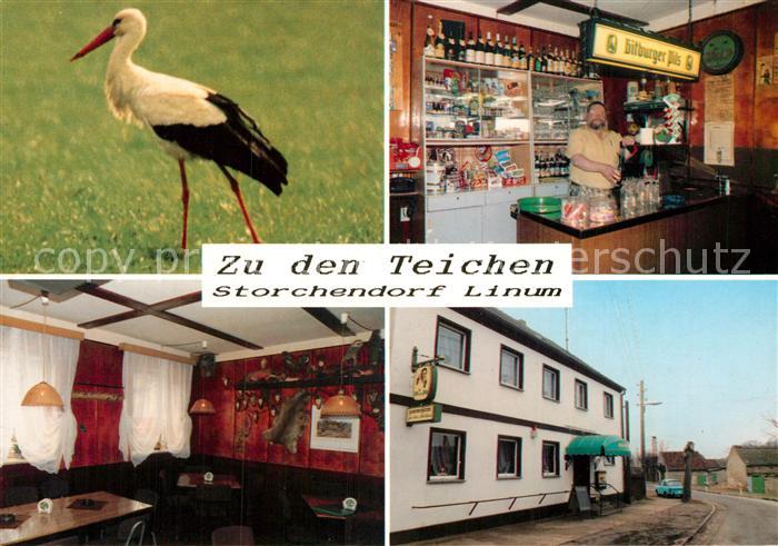 Storch Linum Gaststaette zu den Teichen