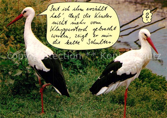 Storch Humor