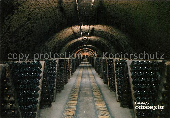 Wein Cavas Codorniu Botellas en Pupitre