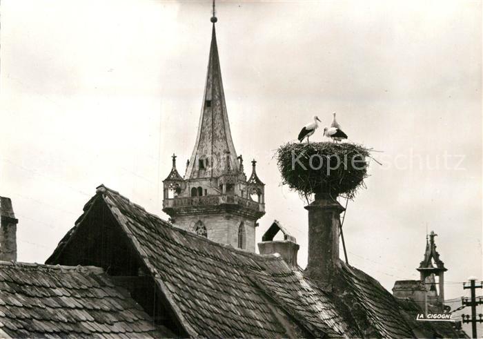 Storch Obernai Nid de Cigognes