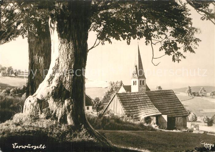 Foto Popp Nr. 117 Verwurzelt