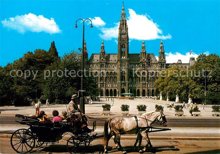 Pferdekutschen Wien Rathaus Fiaker