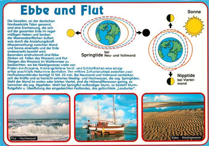 Wissenschaft Science Ebbe und Flut Springtide Nipptide