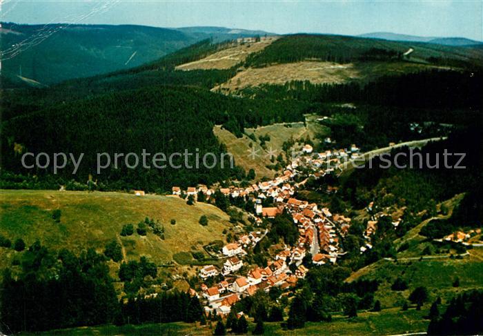 Wildemann Fliegeraufnahme