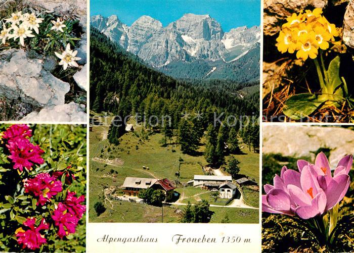 Telfes Stubai Alpengasthaus Froneben Edelweiss Alpenrose Krokusse