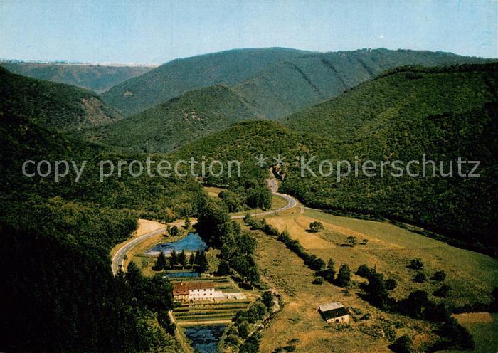 Burgen Mosel Fliegeraufnahme Baybachforellenzucht Wolf Hotel Pension