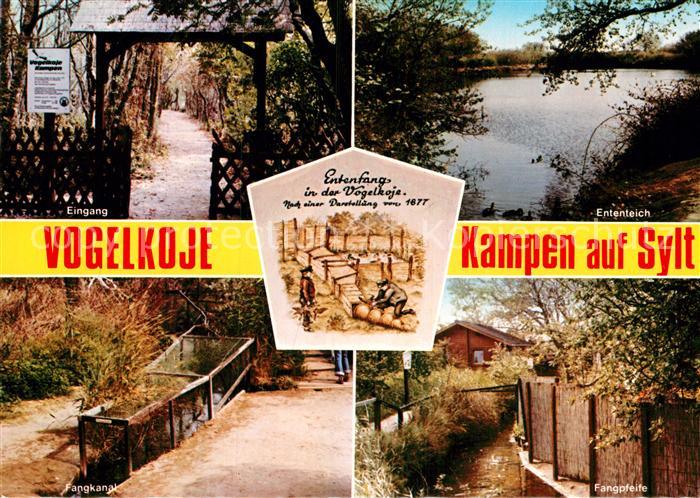 Kampen Sylt Vogelkoje