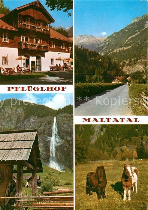 Maltatal Kaernten Alpenhotel Pflueglhof