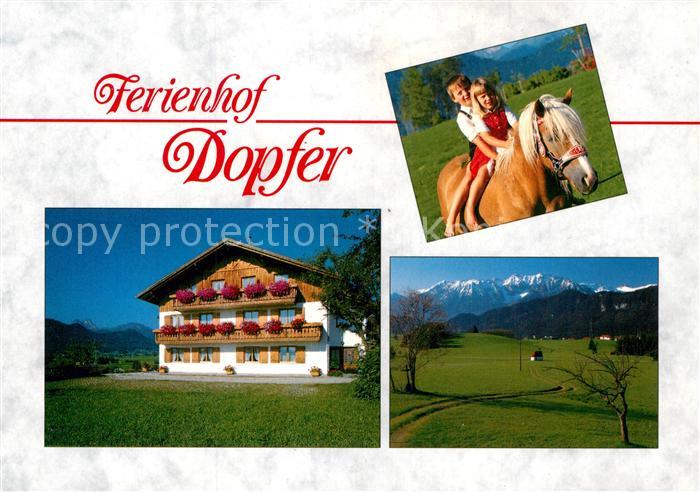 Hopferau Ferienhof Dopfer