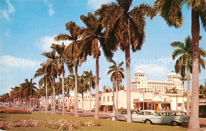 Palm Beach Stately Royal Palms on Royal Poinciana Way Palm Beach Biltmore