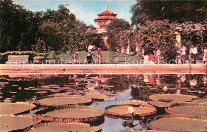 Saigon Lien tri Thao Cam Vien