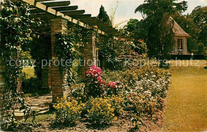 Singapore The Botanic Gardens