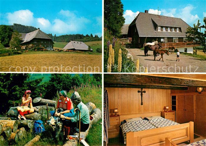 Hinterzarten Breisgau-Hochschwarzwald BW Island Pferdehof Picknick Gaestezimmer