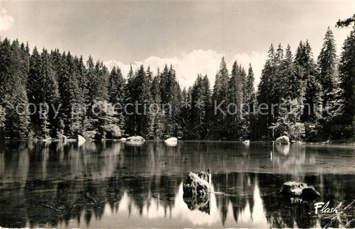 Passy Bonneville Le Lac Vert
