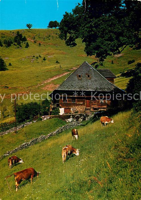 Hofsgrund Bauernhaus Museum Schniederlihof 300jaehriges Schwarzwaldhaus Schauins
