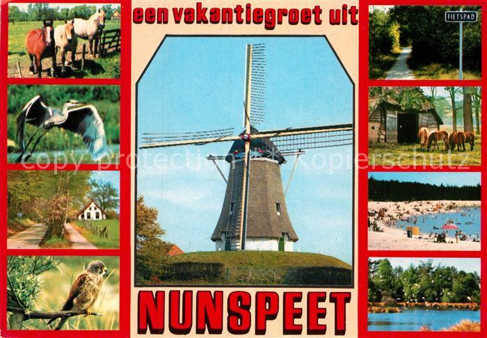 Nunspeet Teilansichten Muehle Pferde Strandpartien