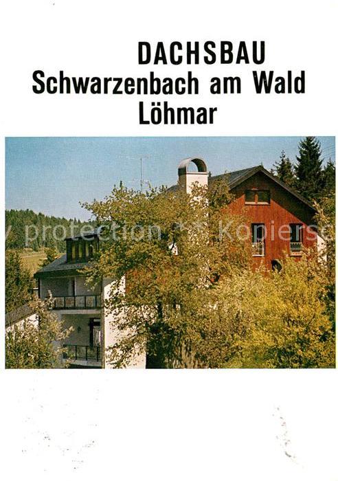 Schwarzenbach Wald Dachsbau