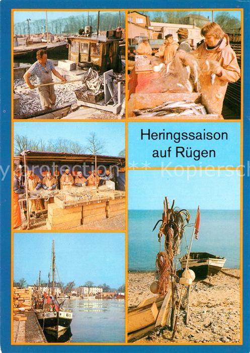 Ruegen Heringssaison