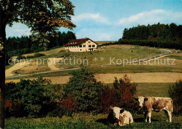 Waldmichelbach Sonnen Cafe Kreidacher Hoehe