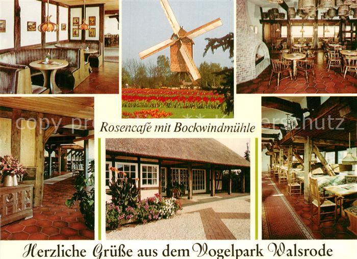 Walsrode Lueneburger Heide Vogelpark Walsrode Rosencafe mit Bockwindmuehle Gastr