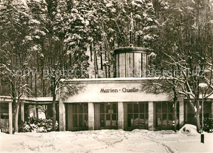 Bad Elster Marienquelle im Winter