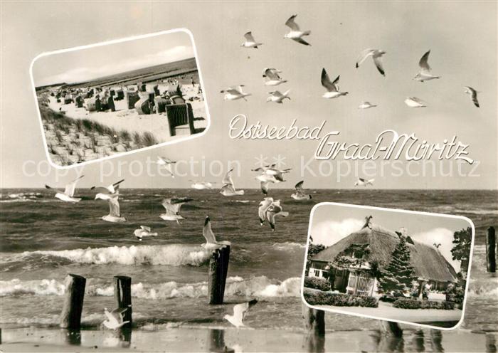 Graal-Mueritz Ostseebad Strand Moewen Reetdachhaus Gaertnerei