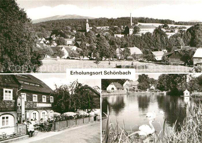 Schoenbach Sachsen Teilansichten Erholungsort Schwanenteich