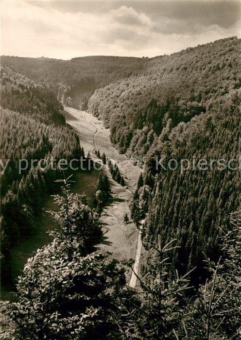 Frauenwald Thueringen Landschaftspanorama Eselsbach