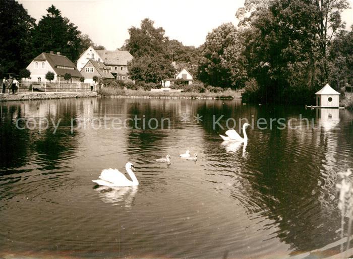 Schoenbach Sachsen Schwanenteich Erholungsort Handabzug