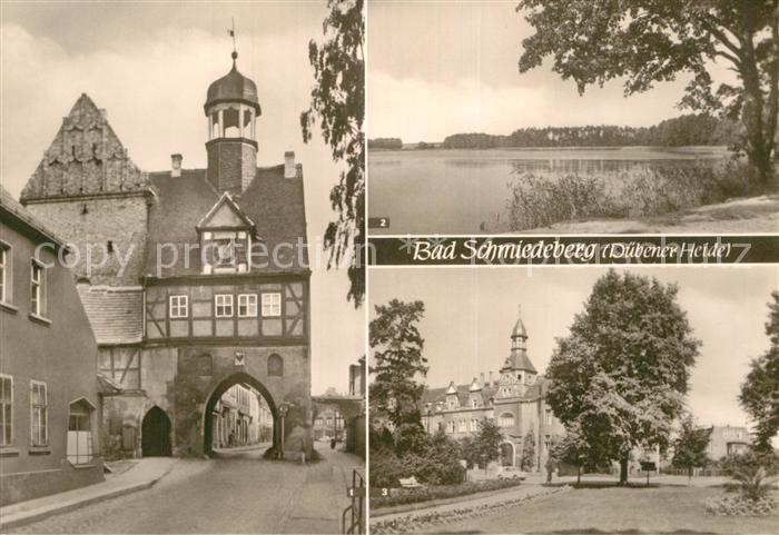 Bad Schmiedeberg Au-Tor Grosser Lausiger Teich Kurhaus