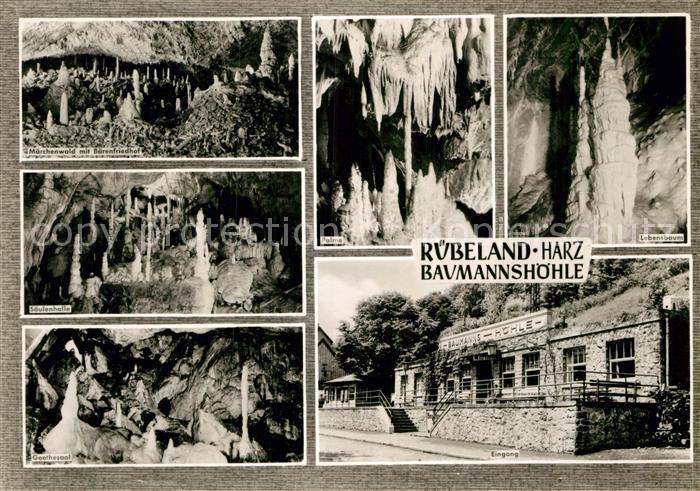 Hoehlen Caves Grottes Baumannshöhle Rübeland Märchenwald Bäre