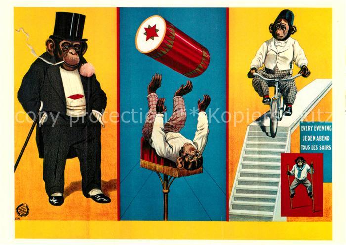 Zirkus Schimpanse Moritz Fussjongleur Kunstradfahrer 1912