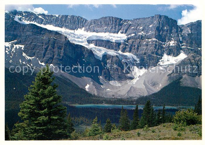 Gletscher Crowfoot Glacier Banff National Park