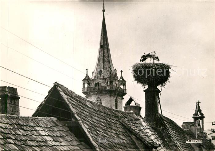 Storch Nid de Cigognes Alsace